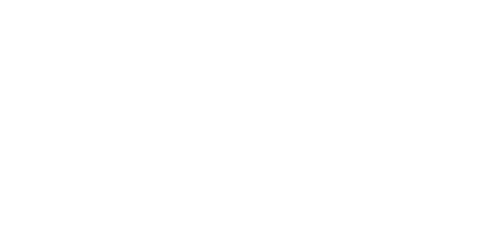 logo principal de media shining